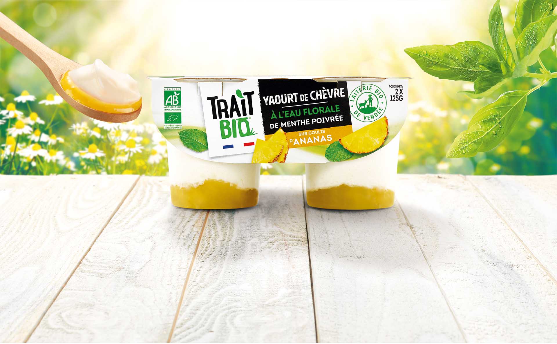 Yaourt de chèvre à l’eau floral de menthe poivrée sur coulis d'ananas