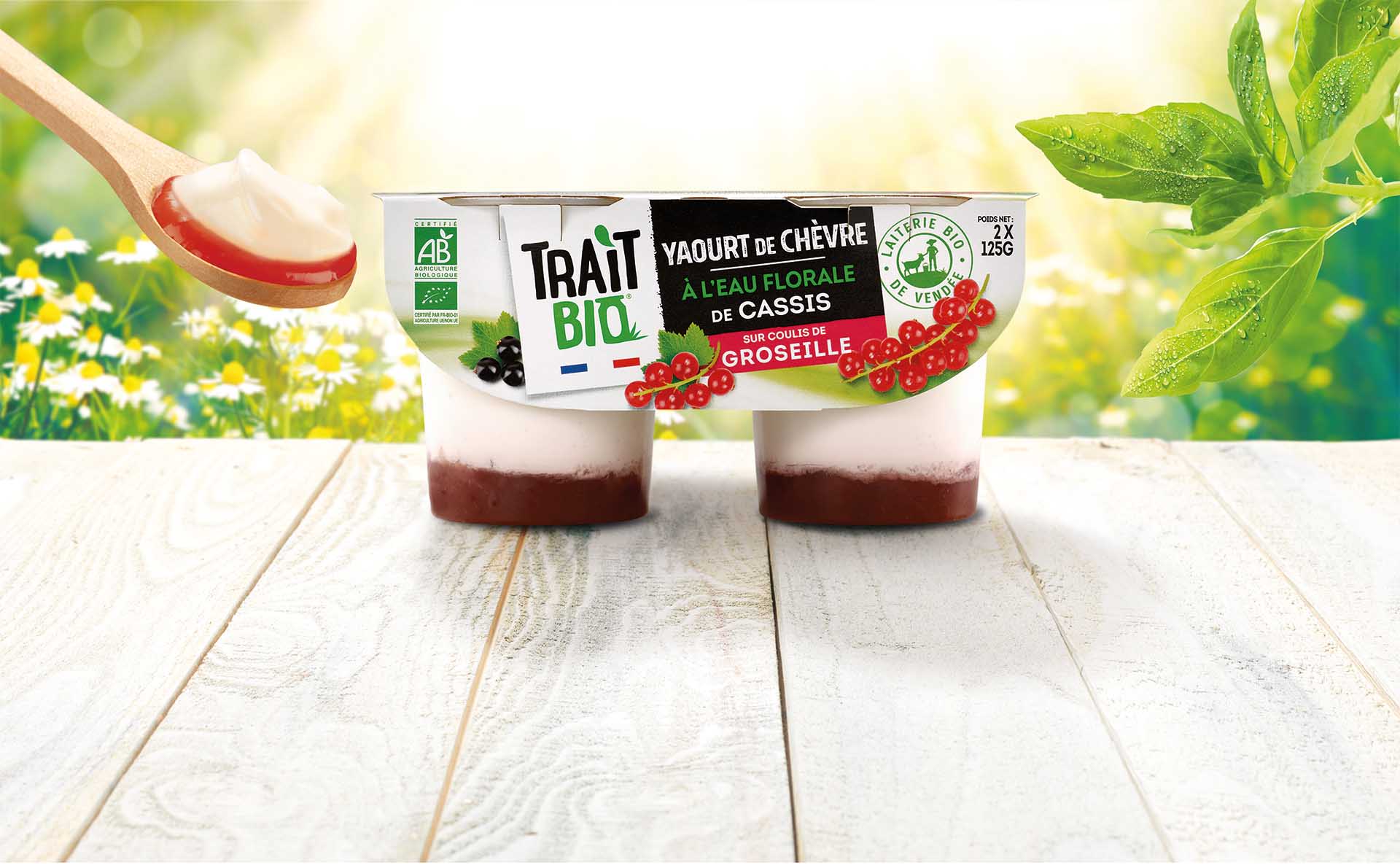 Yaourt de chèvre à l’eau floral de cassis sur coulis de groseilles